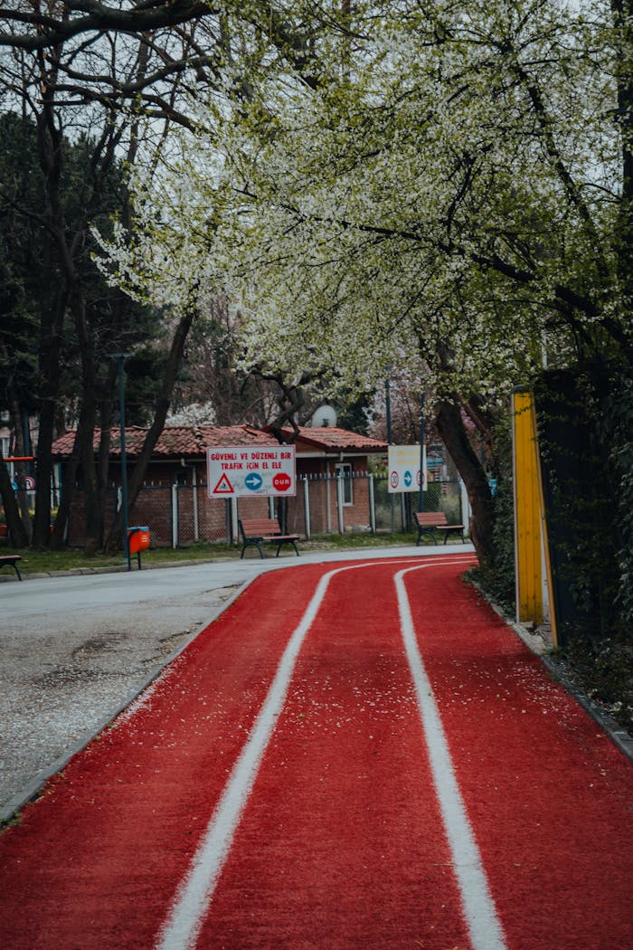 A vibrant red running track flanked by lush trees in a peaceful urban park setting.